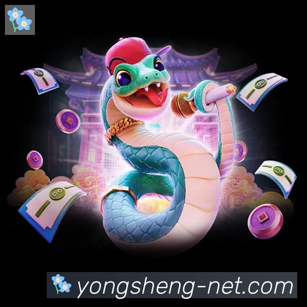 未来规划